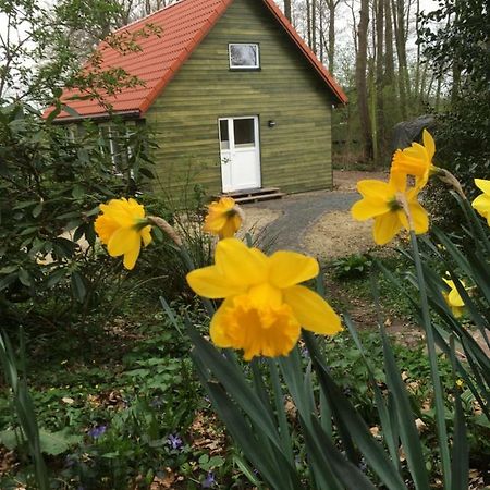 Ferienhof Ohlenbusch Worpswede Exterior foto
